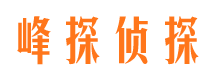 禹王台市私家侦探